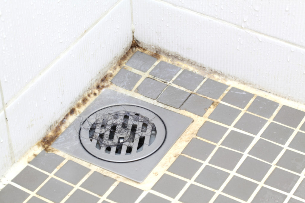 Mold in Bathroom Mould surrounding a shower drain