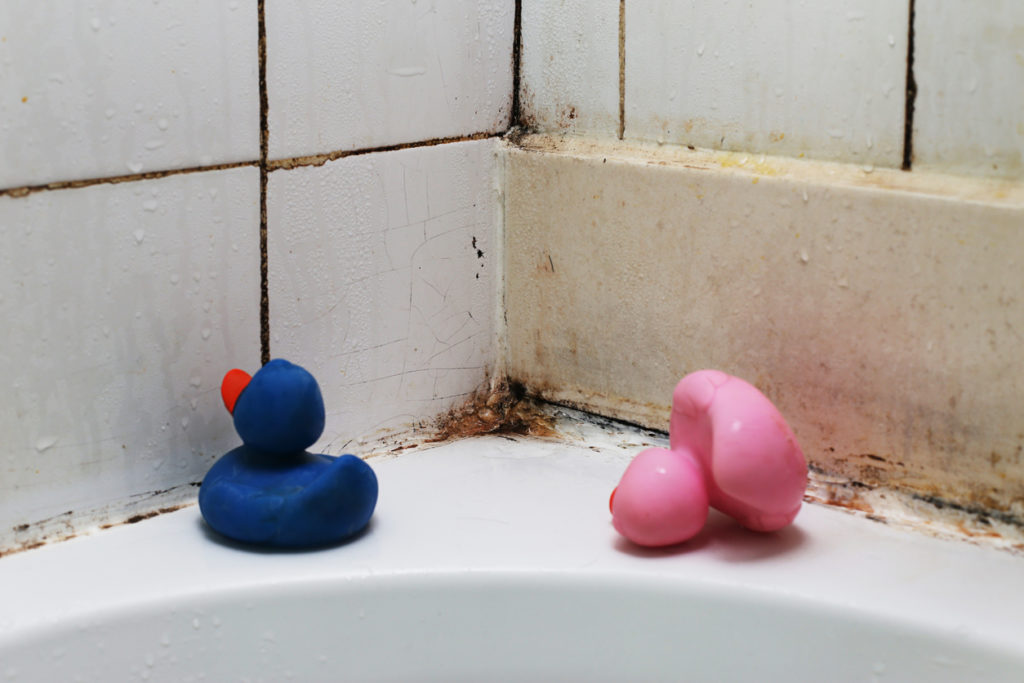Close-up of filthy bathtub corner with rubber duckies Rubber ducks in front of a mouldy bath seal