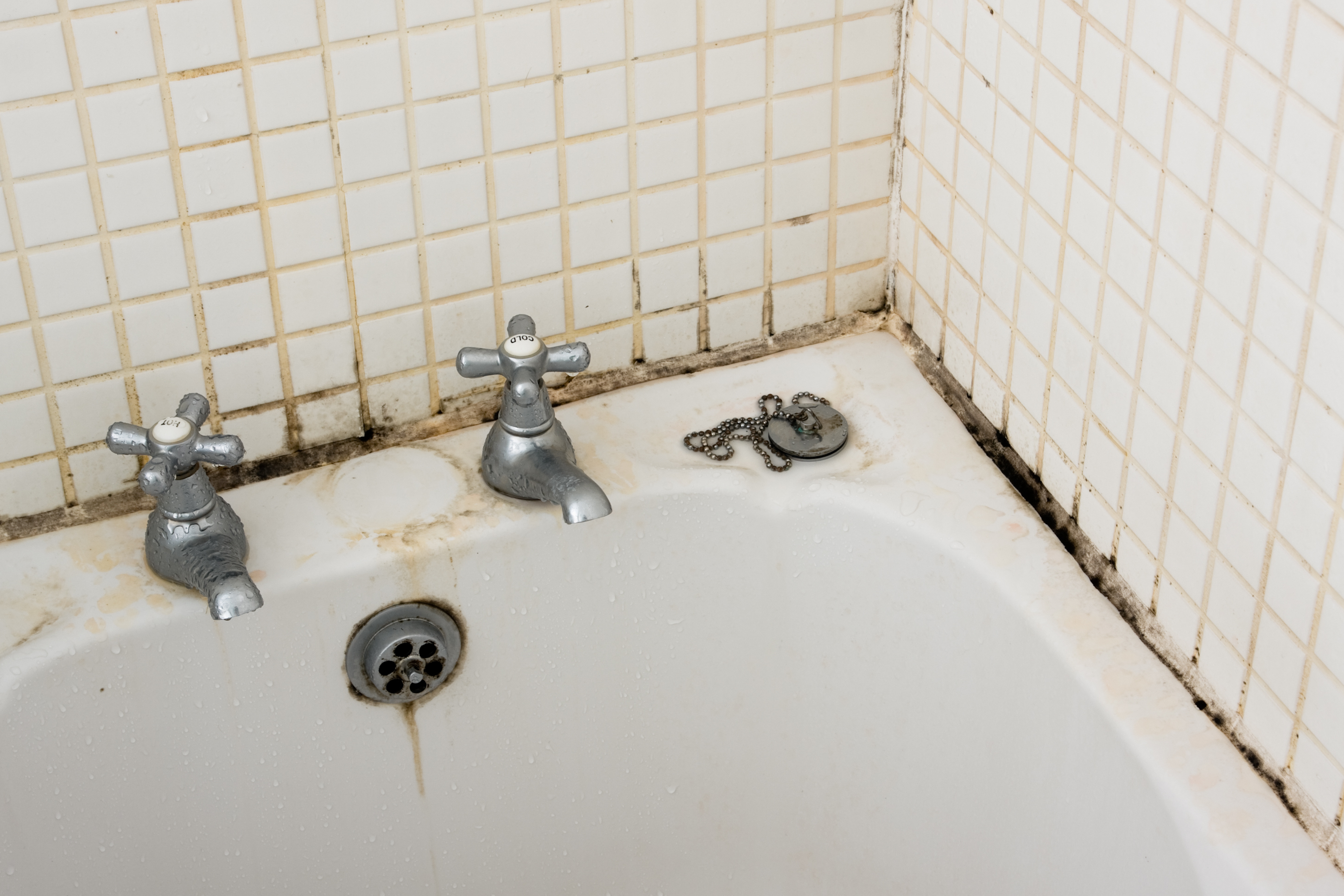 I found mold in the bathroom - what should I do?
